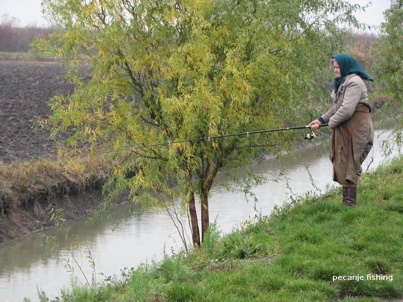 sbs tactical bait products - 1426734551630371587004140720066n.jpg